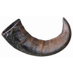 TRIXIE 27743 dog / cat treat Buffalo