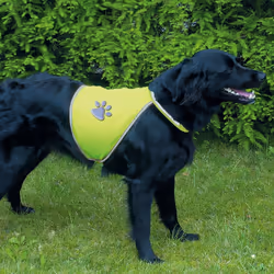 TRIXIE 30082 dog safety vest M Polyester Green