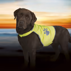TRIXIE 30082 dog safety vest M Polyester Green
