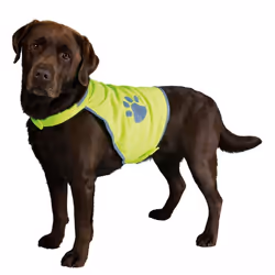 TRIXIE Safety Vest, XL, Yellow, Image, Velcro, Polyester, 50 - 73 cm