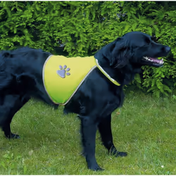 TRIXIE Safety Vest