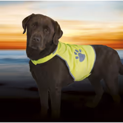 TRIXIE Safety Vest