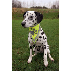 TRIXIE Neckerchief