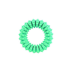 Trixie Denta Fun Natural Rubber Mint Fresh Ring For Dog, 12 Cm, 1 Piece - Dog -  ring mint dog natural rubber 12 cm new chew trixie denta fun fresh