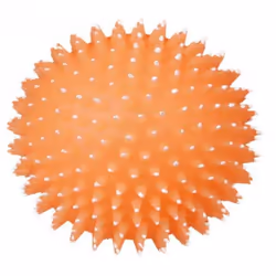 TRIXIE Hedgehog Ball, Dog, Ball, Vinyl, 10 cm