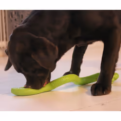 Trixie Rubber Snack-Snake - 42cm - Additional view 6