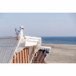 BE NORDIC Seagull Hinnerk