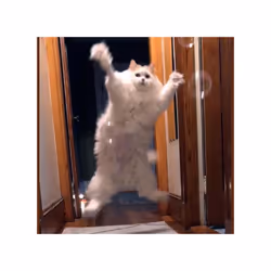 TRIXIE Catnip Bubbles