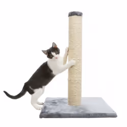 TRIXIE 43332 Cat scratching post