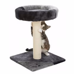 TRIXIE Junior Tarifa Scratching Post - Additional view 6
