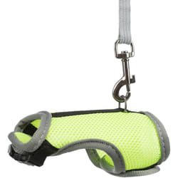 TRIXIE 61511 dog/cat lead Multicolour