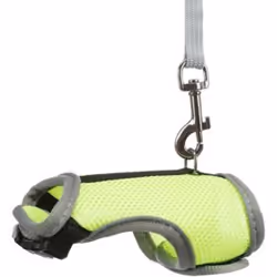 TRIXIE 61511 dog/cat lead Multicolour
