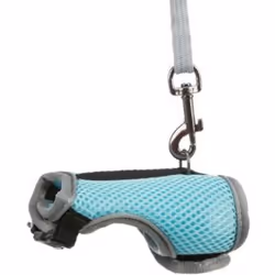 TRIXIE 61511 dog/cat lead Multicolour