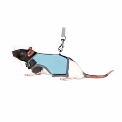 TRIXIE 61511 dog/cat lead Multicolour - Additional view 5