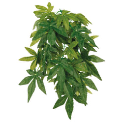 TRIXIE 76236 reptile/amphibian habitat décor ornament