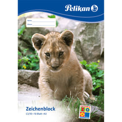 Pelikan 224832 drawing portfolio Multicolour Paper