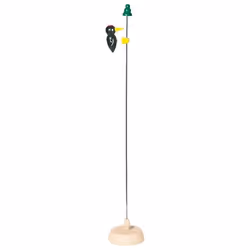 Goki Tapping woodpecker black, 3 yr(s)