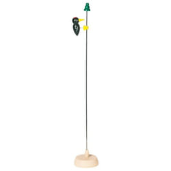 Goki Tapping woodpecker black