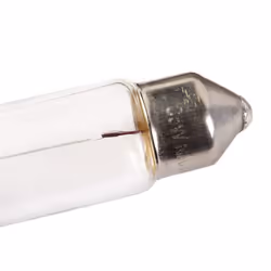 NARVA 171253000 Light Bulbs 12 5 C5W T10,5x38 SV8.5 VOLKSWAGEN: Passat B6 Variant, Multivan 6, Transporter 5, FORD: Focus 2, FIESTA 5, KA Hatchback