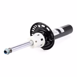 SACHS 317 581 Shock absorber Gas Pressure Twin-Tube Suspension Strut Top pin AUDI: TT Coupe, TT Roadster, VOLKSWAGEN: Tiguan I