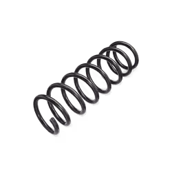 Coil spring; SACHS; for SMART; 4513211204