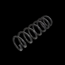 SACHS 993 725 Coil spring SMART: Fortwo II Coupe, Fortwo II Convertible
