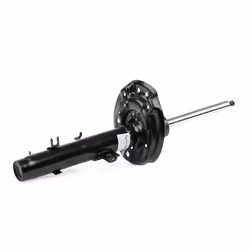SACHS 317 626 Shock absorber Front Axle Left Gas Pressure Twin-Tube Suspension Strut Top pin NISSAN: Qashqai 2