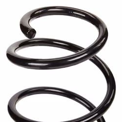 SACHS 994 891 Coil spring RENAULT: LAGUNA 3