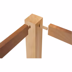 Festool D 8x50/100 MAU dowels 100 pc(s) Wood Biscuit