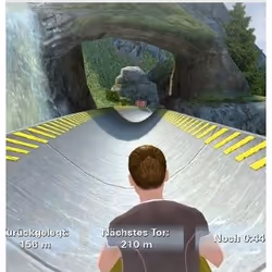 bitComposer Interactive Fit for Fun Nintendo DS