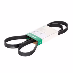 V-ribbed belt; INA; 1670 6; for FORD, FIAT, HYUNDAI, CITROËN, MITSUBISHI; 5750RN, 5750YH, 5750ZV, 55218886, 1372762