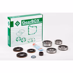 Repair Kit, differential; INA; for BMW