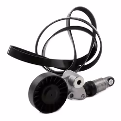 INA 529 0202 10 V-ribbed belt set Check alternator freewheel clutch & replace if necessary
