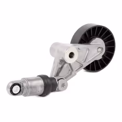INA 529 0202 10 V-ribbed belt set Check alternator freewheel clutch & replace if necessary