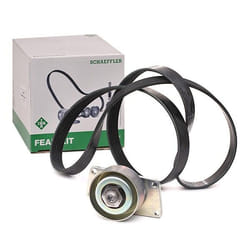 INA 529 0216 10 V-ribbed belt set Check alternator freewheel clutch & replace if necessary PEUGEOT: Partner I Van, 206 Hatchback