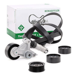 INA 529 0209 10 V-ribbed belt set Check alternator freewheel clutch & replace if necessary AUDI: A6 C6 Avant, A8 D3, A4 B7 Avant