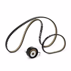 INA 530 0700 10 Timing belt kit 116 FORD: FIESTA 6, FOCUS 3, Mondeo 5