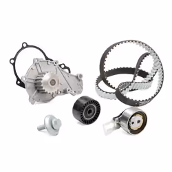 INA 530 0698 30 Water Pump + Timing Belt Kit 20 CITROËN: DS3 Hatchback, C4 Grand Picasso 2, Spacetourer, FORD: Transit Connect V408 Van, FIESTA 7