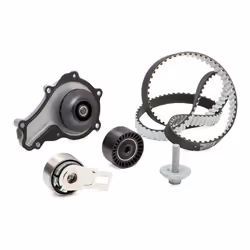INA 530 0698 30 Water Pump + Timing Belt Kit 20 CITROËN: DS3 Hatchback, C4 Grand Picasso 2, Spacetourer, FORD: Transit Connect V408 Van, FIESTA 7
