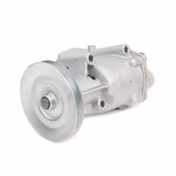 INA 538 0438 10 Water pump with belt pulley for v-belt use FIAT: Panda I Hatchback, Uno Hatchback