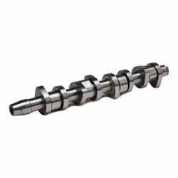INA 428 0110 10 Camshaft VOLKSWAGEN: Golf 5, Transporter 5