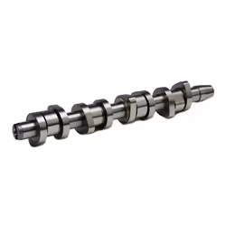 INA 428 0110 10 Camshaft VOLKSWAGEN: Golf 5, Transporter 5
