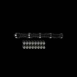 INA 428 0027 30 Camshaft Kit VOLKSWAGEN: Transporter 4