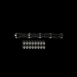 INA 428 0040 30 Camshaft Kit VOLKSWAGEN: Multivan 5 (7HM