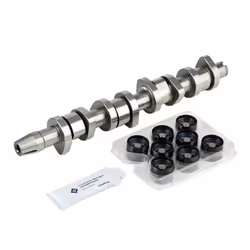 Camshaft Kit; INA; for VOLKSWAGEN, FORD, SEAT, VW, SKODA; 038109101R, 038109309A, 038109309B, 038109309C, 1100669