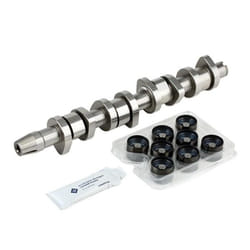 INA 428 0042 30 Camshaft Kit VOLKSWAGEN: Multivan 5 (7HM, Passat B6 Variant, Golf 4