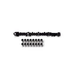 Camshaft Kit; INA; with tappets; for VOLKSWAGEN, AUDI, VW, SEAT, SKODA; 022109423A, 022109423D, 06B109101AB, 06B109101G, 06B1 ...