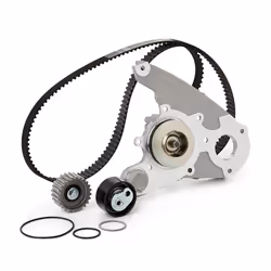 INA 530 0232 30 Water Pump + Timing Belt Kit with gasket/seal 30 FIAT: Ducato III Platform / Chassis, Ducato III Minibus, Ducato III Van