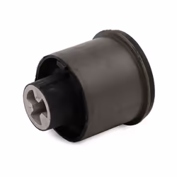 FAG 829 0475 10 Axle Bushes VOLKSWAGEN: Golf 4, Polo V Hatchback, Polo IV Hatchback, AUDI: A3 Hatchback, TT Roadster, TT Coupe, SKODA: Fabia 1 Combi