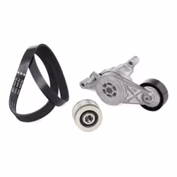 INA 529 0469 20 V-ribbed belt set with freewheel belt pulley VOLKSWAGEN: Golf 5, Touran I, Caddy 3, SKODA: Octavia II Hatchback, Octavia 2 Combi